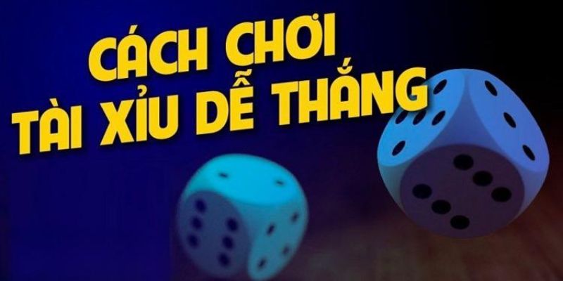 Cách đánh tài xỉu thắng lớn